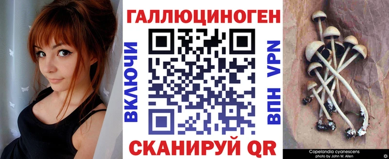 блэк спрут маркетплейс  хочу наркоту  Орехово-Зуево  Галлюциногенные грибы мухоморы 